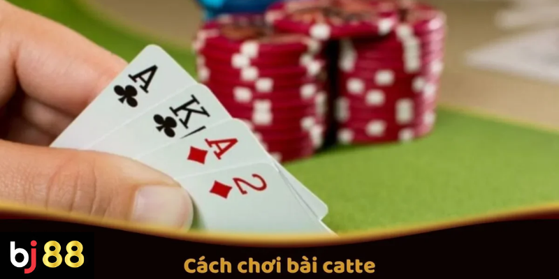 Cách chơi bài catte từ luật cơ bản đến cách đánh 2 Cách Chơi Bài Catte Trên BJ88: Quy Tắc Và Mẹo Thắng
