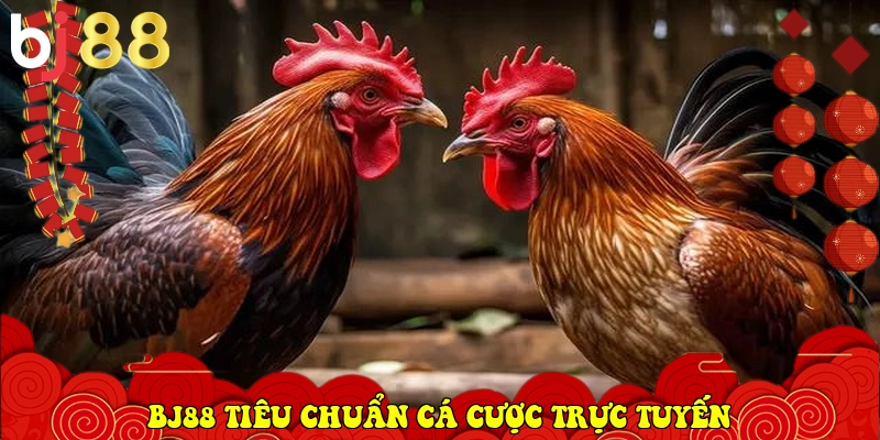 BJ88.COM - Link Vào Trang Chủ Nhà Cái Chính Thức 2026 27 BJ88 xác lập tiêu chuẩn cá cược trực tuyến