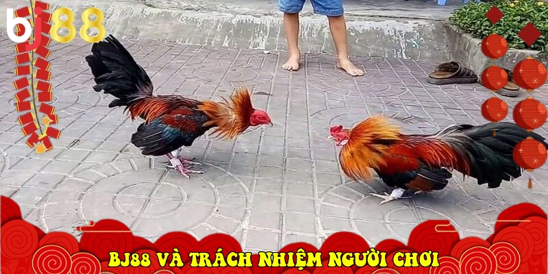 BJ88.COM - Link Vào Trang Chủ Nhà Cái Chính Thức 2026 37 BJ88 và trách nhiệm người chơi