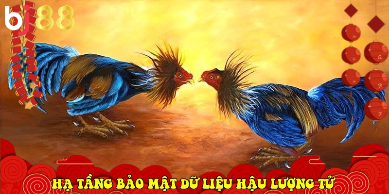 BJ88.COM - Link Vào Trang Chủ Nhà Cái Chính Thức 2026 30 hạ tầng bảo mật dữ liệu hậu lượng tử