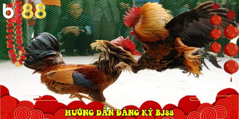 BJ88.COM - Link Vào Trang Chủ Nhà Cái Chính Thức 2026 35 Hướng dẫn đăng ký BJ88